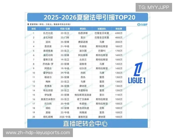 法甲外援市场结构变化及其对联赛竞技水平的影响